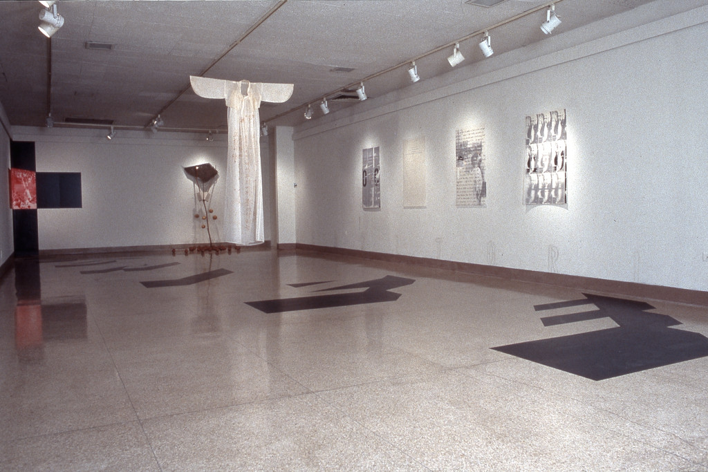 1991deCOLONIZATIONinstallation copy