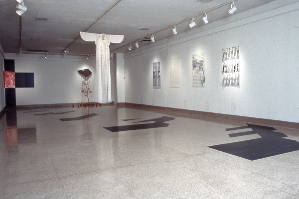 deCOLONIZATION, 1991, installation